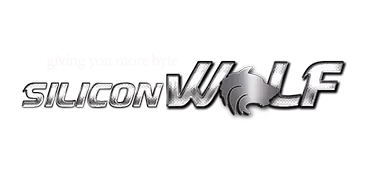 Giving You More Byte Giving You More Byte